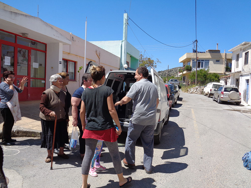 Δηλητηριασμένος Γύπας έπεσε στο Μοχό