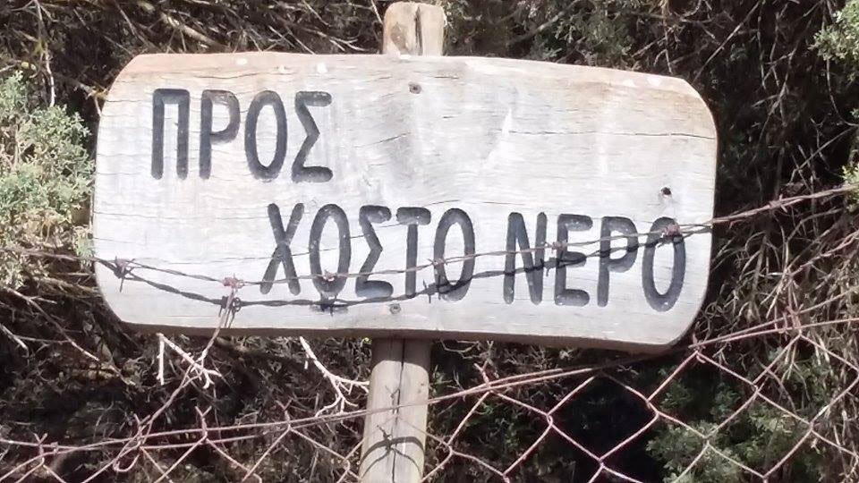 Απελευθέρωση γυπών στον Γιούχτα στο Ηράκλειο